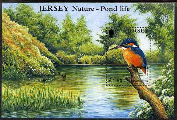 Jersey 2001 Europa - Pond Life perf m/sheet showing Kingfisher, unmounted mint SG MS997, stamps on birds, stamps on kingfishers, stamps on europa