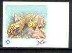 Easdale 1988 Flora & Fauna 36p (shells) imperf progressive proof in magenta, blue & yellow only unmounted mint*, stamps on marine life, stamps on shells
