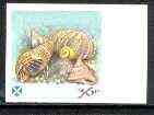 Easdale 1988 Flora & Fauna 36p (shells) imperf progressive proof in magenta, blue & yellow only unmounted mint*, stamps on , stamps on  stamps on marine life, stamps on shells