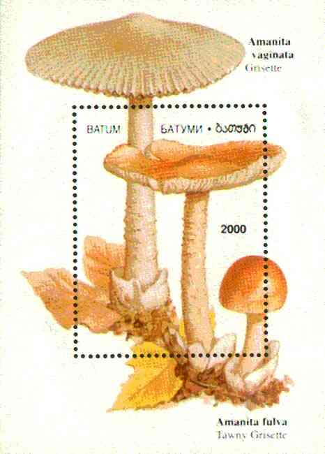 Batum 1997 Mushrooms perf souvenir sheet (2000 value) unmounted mint, stamps on fungi