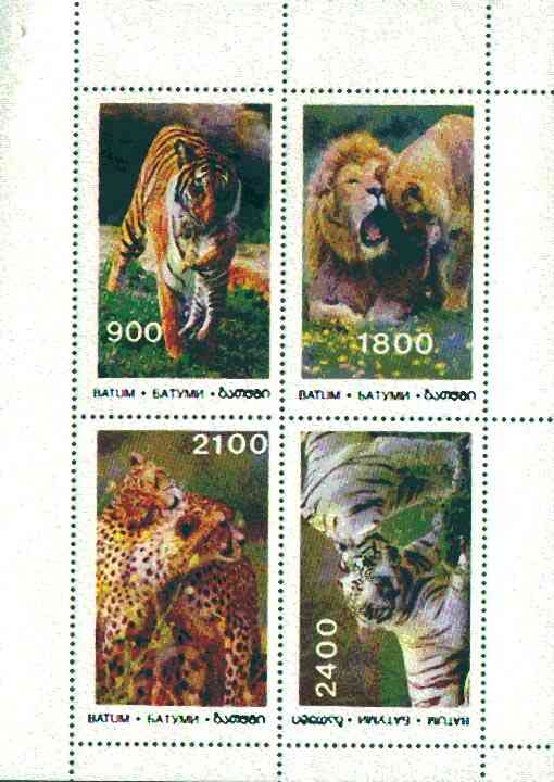 Batum 1995 Big Cats perf sheet containing complete set of 4 values unmounted mint, stamps on , stamps on  stamps on animals, stamps on  stamps on cats, stamps on  stamps on tigers, stamps on  stamps on lions, stamps on  stamps on 