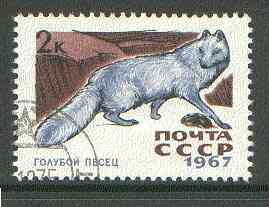 Russia 1967 Arctic Fox 2k from Fur Bearing Animals set fine used, SG 3452*, stamps on , stamps on  stamps on animals, stamps on  stamps on  fox , stamps on  stamps on foxes, stamps on  stamps on  