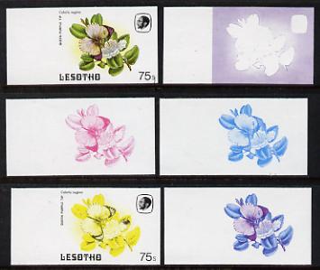 Lesotho 1984 Butterflies Queen Purple Tip 75s value x 6 imperf progressive proofs comprising various individual or combination composites, stamps on butterflies