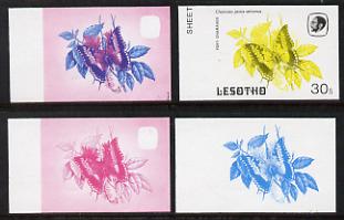 Lesotho 1984 Butterflies Foxy Charaxes 30s value x 4 imperf progressive proofs comprising various individual or combination composites, stamps on butterflies