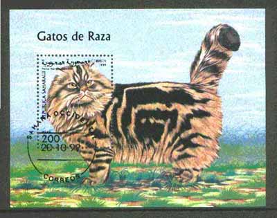 Sahara Republic 1999 Domestic Cats m/sheet fine cto used, stamps on cats