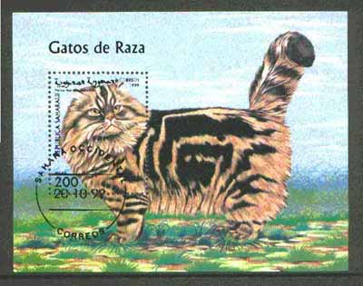 Sahara Republic 1999 Domestic Cats m/sheet fine cto used, stamps on , stamps on  stamps on cats