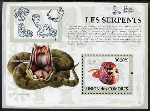 Comoro Islands 2009 Snakes perf s/sheet unmounted mint, stamps on reptiles, stamps on snakes