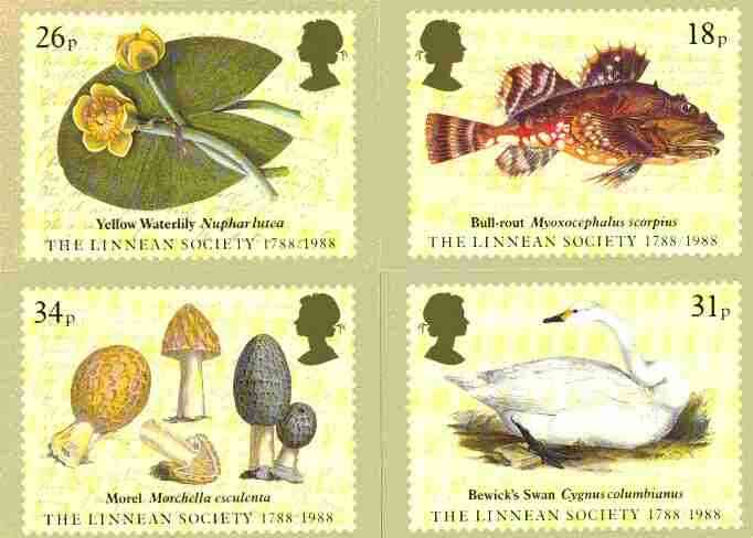 Great Britain 1988 Bicentenary of Linnean Society set of 4 PHQ cards unused and pristine, stamps on fish, stamps on flowers, stamps on birds, stamps on fungi