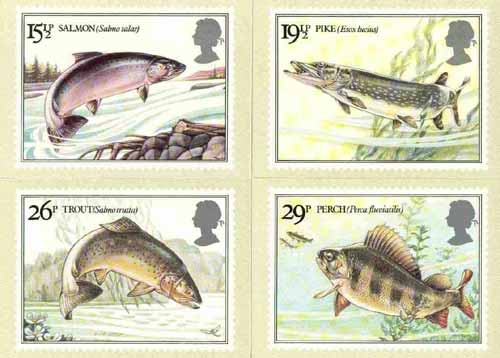 Great Britain 1983 British River Fishes set of 4 PHQ cards unused and pristine, stamps on fish