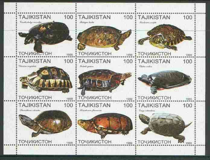 Tadjikistan 1999 Turtles perf sheetlet containing complete set of 9 values unmounted mint, stamps on , stamps on  stamps on animals, stamps on reptiles, stamps on turtles