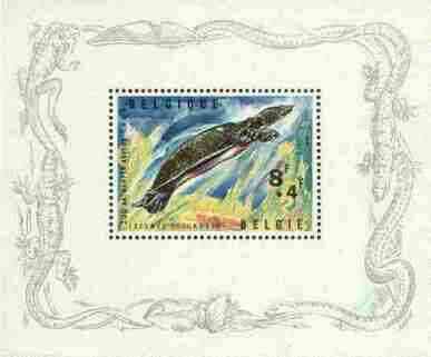 Belgium 1965 Soft Shelled Turtle perf m/sheet, SG MS 1947, Mi BL 33, stamps on animals, stamps on reptiles, stamps on turtles