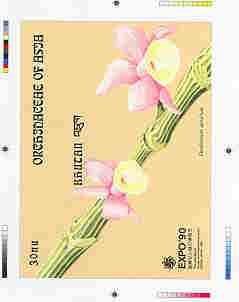 Bhutan 1990 Orchids - Intermediate stage computer-generated essay #1 (as submitted for approval) for 30nu m/sheet (Dendrobium aphyllum) 180 x 135 mm very similar to issue..., stamps on orchids, stamps on flowers