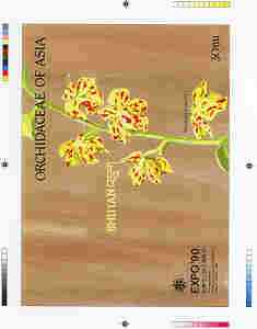 Bhutan 1990 Orchids - Intermediate stage computer-generated essay #3 (as submitted for approval) for 30nu m/sheet (Vandopsis parishi) 180 x 135 mm very similar to issued ..., stamps on orchids, stamps on flowers