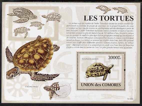 Comoro Islands 2009 Turtles perf s/sheet unmounted mint, stamps on animals, stamps on turtles