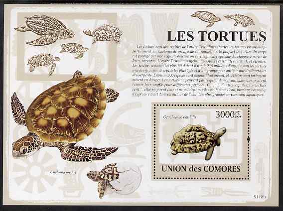 Comoro Islands 2009 Turtles perf s/sheet unmounted mint, stamps on , stamps on  stamps on animals, stamps on  stamps on turtles