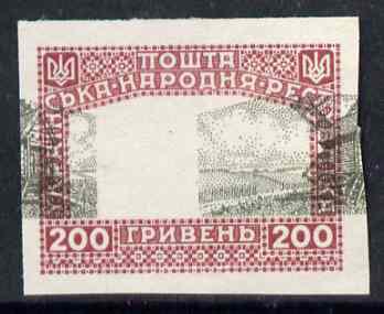 Ukraine 1920 unissued 200 gr Windmill black & claret imperf proof on ungummed paper with centre misplaced 13 mm horizontally (blocks pro rata), stamps on windmills