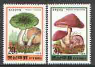 North Korea 1995 Fungi #01 perf set of 2 values, unmounted mint, SG N3496-97*, stamps on fungi