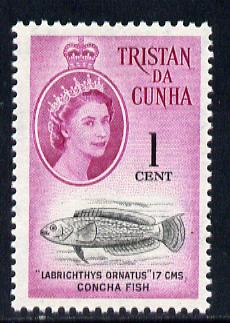 Tristan da Cunha 1961 Wrasse 1c from def set unmounted mint, SG 43, stamps on marine life, stamps on fish