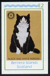 Bernera 1984 Rotary (Black & White Persian Cat) imperf deluxe sheet (£2 value) unmounted mint, stamps on animals  cats  rotary