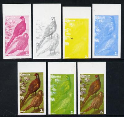 Eynhallow 1977 Birds #01 Pheasants 2p set of 7 imperf progressive colour proofs comprising the 4 individual colours plus 2, 3 and all 4-colour composites unmounted mint, stamps on birds, stamps on game