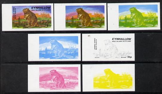 Eynhallow 1977 North American Animals 25p (Beaver) set of 7 imperf progressive colour proofs comprising the 4 individual colours plus 2, 3 and all 4-colour composites unmounted mint, stamps on , stamps on  stamps on animals