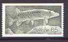 Sweden 1979 Pike 65 (from Wildlife set) unmounted mint SG 1009, stamps on fish, stamps on pike