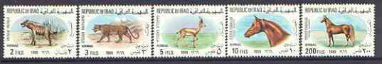 Iraq 1969 Animals complete Air set of 5 unmounted mint, SG 829-33, stamps on , stamps on  stamps on animals, stamps on horses, stamps on hyena, stamps on leopard, stamps on cats, stamps on gazelle9