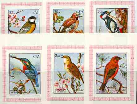 Sharjah 1972 Birds #2 set of 6 individual imperf deluxe sheetlets unmounted mint, as Mi 1178-83, stamps on , stamps on  stamps on birds, stamps on woodpeckers, stamps on kingfisher