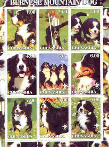 Chuvashia Republic 2000 Dogs (Bernese Mountain Dog) perf sheetlet containing complete set of 9 values, each with Scout logo unmounted mint, stamps on , stamps on  stamps on dogs, stamps on scouts, stamps on bernese