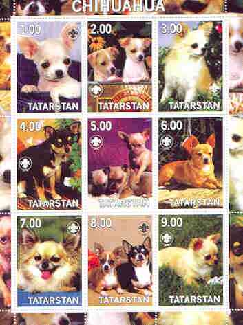 Tatarstan Republic 2000 Dogs (Chihuahua) perf sheetlet containing complete set of 9 values, each with Scout logo unmounted mint, stamps on dogs, stamps on scouts, stamps on chuhuahua