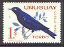 Uruguay 1962 Common Cowbird 1p unmounted mint, SG 1212*, stamps on , stamps on  stamps on birds, stamps on cowbird