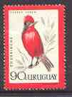 Uruguay 1962 Vermilion Flycatcher 90c unmounted mint, SG 1211*, stamps on birds, stamps on flycatcher