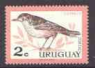 Uruguay 1962 Rufous-bellied Thrush 2c unmounted mint, SG 1205*, stamps on birds, stamps on thrush