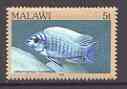 Malawi 1984 Blue Mbuna 5t from fish def set unmounted mint, SG 690*, stamps on fish