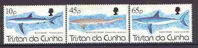 Tristan da Cunha 1994 Sharks set of 3 unmounted mint, SG 569-71*, stamps on fish, stamps on sharks