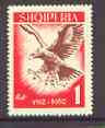 Albania 1962 1L from Independence Anniversary set of 3, featuring a Golden Eagle in flight, unmounted mint SG 728, stamps on , stamps on  stamps on birds, stamps on  stamps on birds of prey, stamps on  stamps on eagle