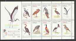 South Africa 1997 World Environment Day (Waterbirds) sheetlet containing set of 10 values unmounted mint, SG 977a, stamps on birds, stamps on kingfisher, stamps on cormorants, stamps on herons, stamps on storks, stamps on ducks, stamps on 
