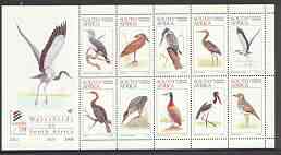 South Africa 1997 World Environment Day (Waterbirds) sheetlet containing set of 10 values unmounted mint, SG 977a, stamps on , stamps on  stamps on birds, stamps on  stamps on kingfisher, stamps on  stamps on cormorants, stamps on  stamps on herons, stamps on  stamps on storks, stamps on  stamps on ducks, stamps on  stamps on 