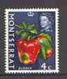 Montserrat 1965 Pepper 4c from Fruit & Vegetables def set, unmounted mint SG 163, stamps on fruits, stamps on food