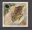 Cayman Islands 1971 Grand Cayman Terrapin 5c unmounted mint, SG 294*, stamps on animals, stamps on reptiles, stamps on turtles