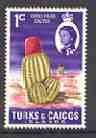 Turks & Caicos Islands 1967 Cactus 1d from def set unmounted mint, SG 274*, stamps on , stamps on  stamps on cacti, stamps on flowers