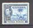 Gambia 1938-46 KG6 Elephant & Palm 3d unmounted mint, SG 154*, stamps on elephants, stamps on animals, stamps on  kg6 , stamps on trees