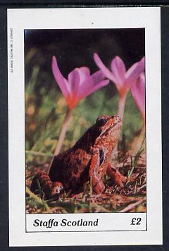 Staffa 1982 Frog imperf deluxe sheet (£2 value) unmounted mint, stamps on animals, stamps on amphibians, stamps on frogs