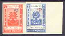 Afghanistan 1960 World Refugee Year surcharged set of 2 (imperf) unmounted mint as SG 485-6*