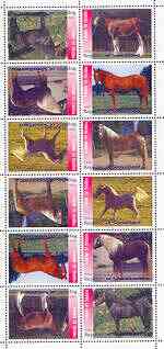 Somaliland 1999 Horses perf sheetlet of 12 values containing 2 sets of 6 arranged tete-beche unmounted mint, stamps on horses