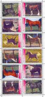 Somaliland 1999 Horses perf sheetlet of 12 values containing 2 sets of 6 arranged tete-beche unmounted mint, stamps on , stamps on  stamps on horses