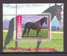 Somaliland 1999 Horses perf souvenir sheet unmounted mint, stamps on , stamps on  stamps on horses