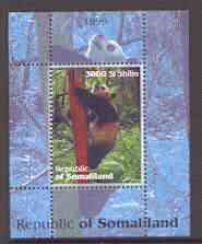 Somaliland 1999 Pandas perf souvenir sheet unmounted mint, stamps on animals, stamps on bears, stamps on pandas