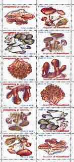 Somaliland 1999 Fungi perf sheetlet of 12 values containing 2 sets of 6 arranged tete-beche unmounted mint, stamps on fungi