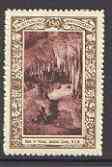 Australia 1938 Bath of Venus (Jenolan Caves) Poster Stamp from Australias 150th Anniversary set, unmounted mint, stamps on caves